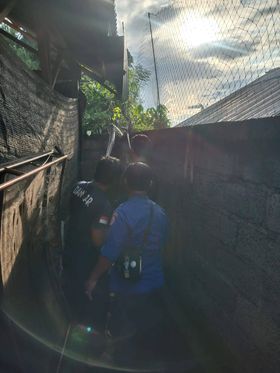 Portfolio Item 12